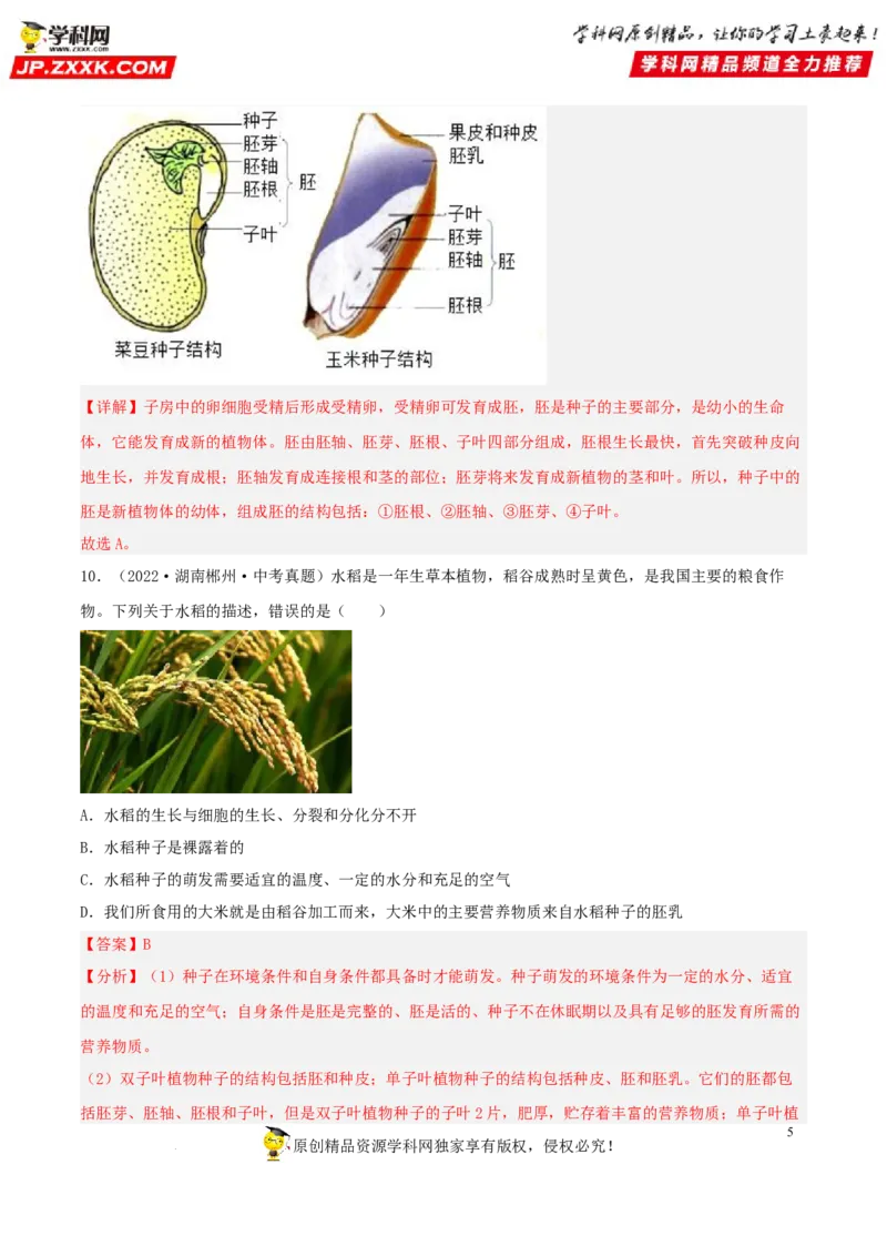 专题04生物圈中的绿色植物（习题帮）（解析版）_6生物中考复习_2023年中考复习资料_一轮复习_备战2023年中考生物一轮复习考点帮（全国通用）288506454