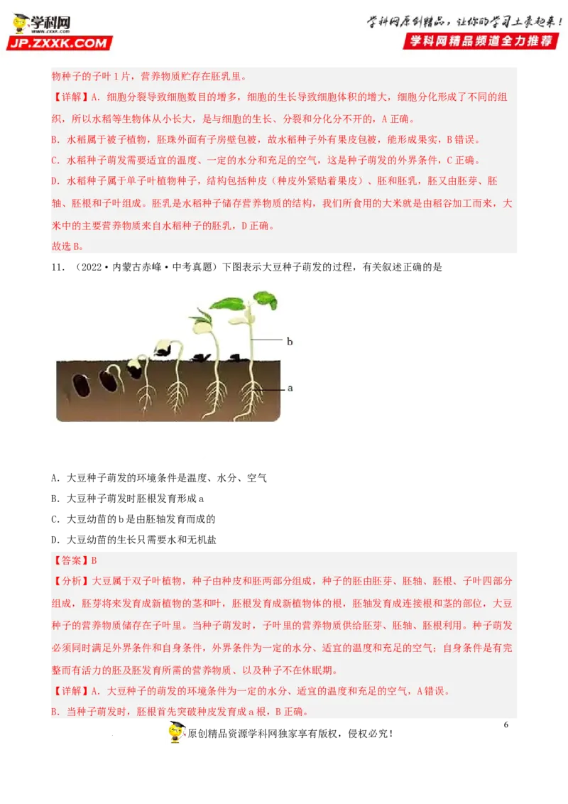 专题04生物圈中的绿色植物（习题帮）（解析版）_6生物中考复习_2023年中考复习资料_一轮复习_备战2023年中考生物一轮复习考点帮（全国通用）288506454