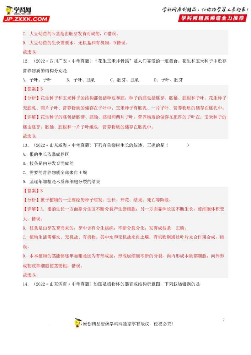 专题04生物圈中的绿色植物（习题帮）（解析版）_6生物中考复习_2023年中考复习资料_一轮复习_备战2023年中考生物一轮复习考点帮（全国通用）288506454