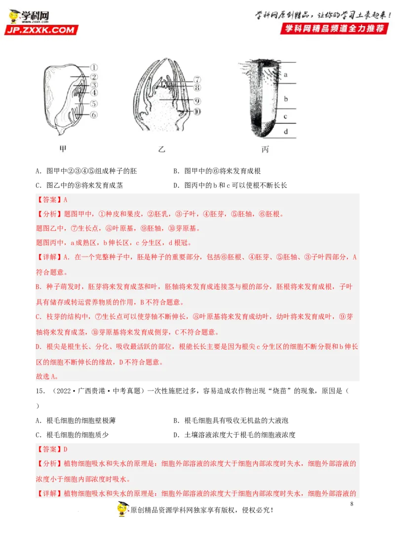专题04生物圈中的绿色植物（习题帮）（解析版）_6生物中考复习_2023年中考复习资料_一轮复习_备战2023年中考生物一轮复习考点帮（全国通用）288506454