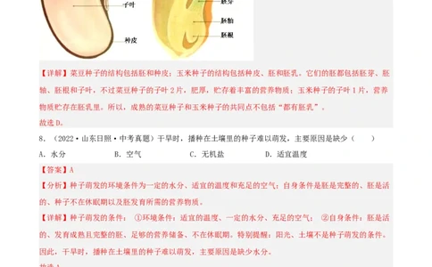 专题04生物圈中的绿色植物（习题帮）（解析版）_6生物中考复习_2023年中考复习资料_一轮复习_备战2023年中考生物一轮复习考点帮（全国通用）288506454