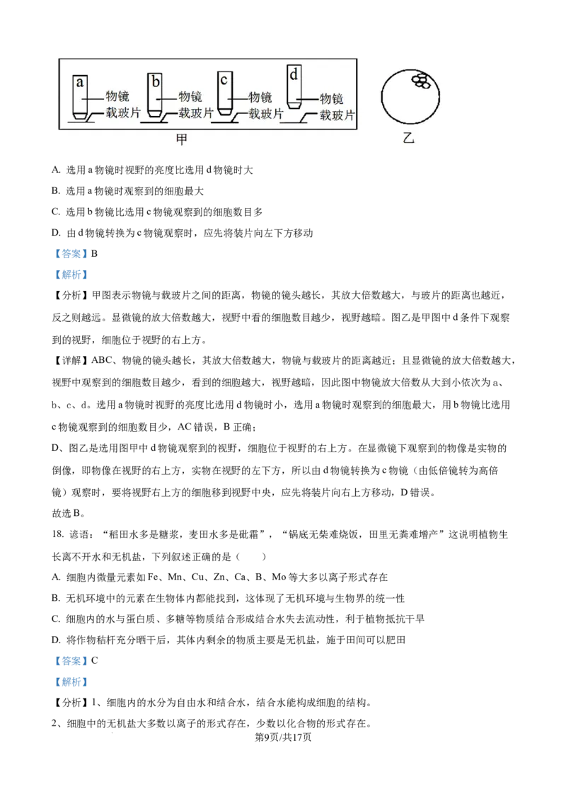 精品解析：山东省泰安市新泰一中老校区（新泰中学）2025-2026学年高一上学期第一次月考生物试题（解析版）_2025年10月高一试卷