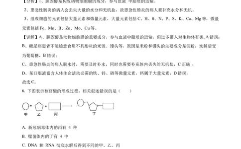 精品解析：山东省泰安市新泰一中老校区（新泰中学）2025-2026学年高一上学期第一次月考生物试题（解析版）_2025年10月高一试卷