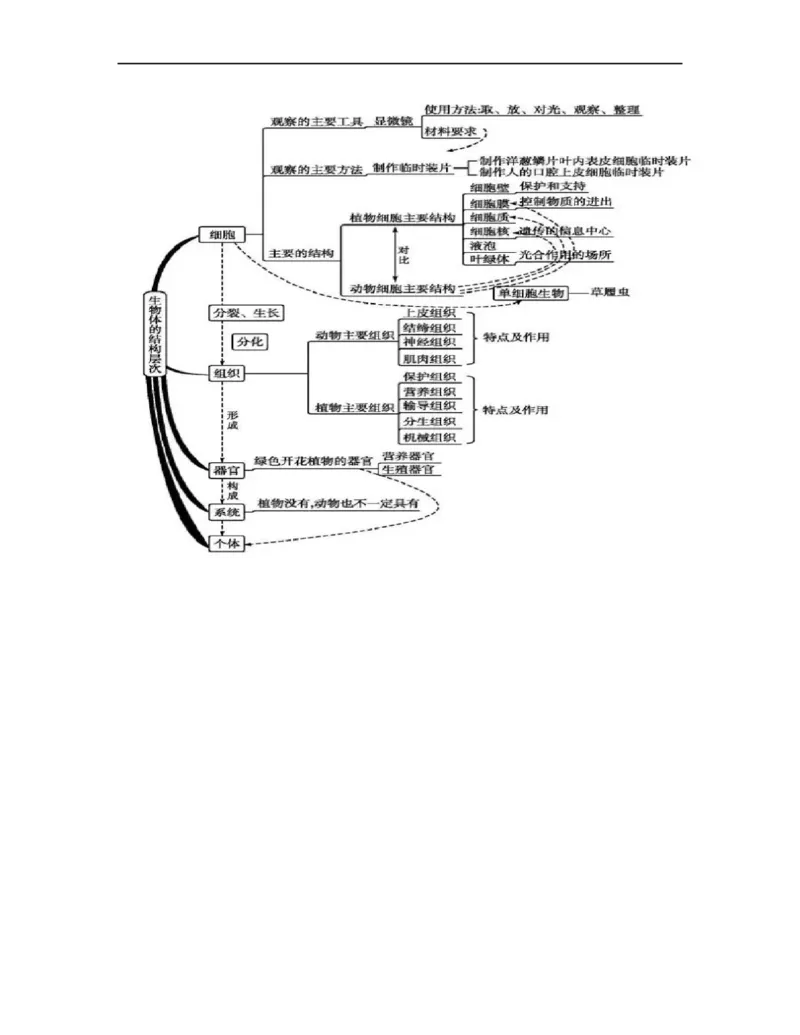 专题02生物体的结构层次背诵清单+跟踪训练（学生版）_6生物中考复习_2023年中考复习资料_一轮复习_2023年中考生物一轮大单元复习过过过（全国通用）