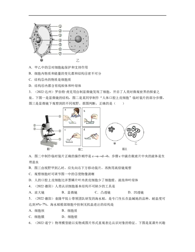 专题02生物体的结构层次背诵清单+跟踪训练（学生版）_6生物中考复习_2023年中考复习资料_一轮复习_2023年中考生物一轮大单元复习过过过（全国通用）