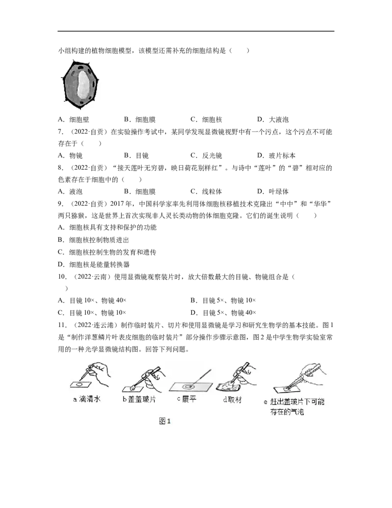 专题02生物体的结构层次背诵清单+跟踪训练（学生版）_6生物中考复习_2023年中考复习资料_一轮复习_2023年中考生物一轮大单元复习过过过（全国通用）