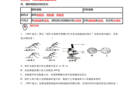 专题02生物体的结构层次背诵清单+跟踪训练（学生版）_6生物中考复习_2023年中考复习资料_一轮复习_2023年中考生物一轮大单元复习过过过（全国通用）