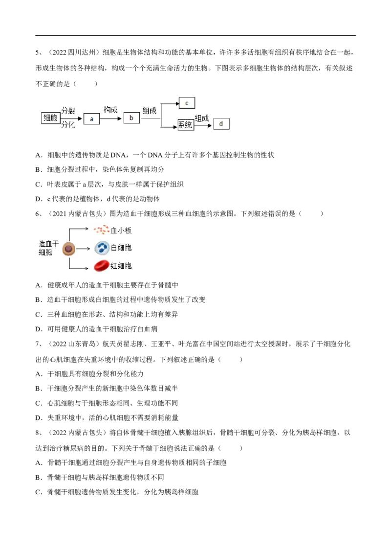 专题03细胞怎样构成生物体（原卷版）_6生物中考复习_2023年中考复习资料_一轮复习_2023年中考生物一轮复习讲练测_专题03细胞怎样构成生物体（专题精练）-2023年中考生物一轮复习讲练测