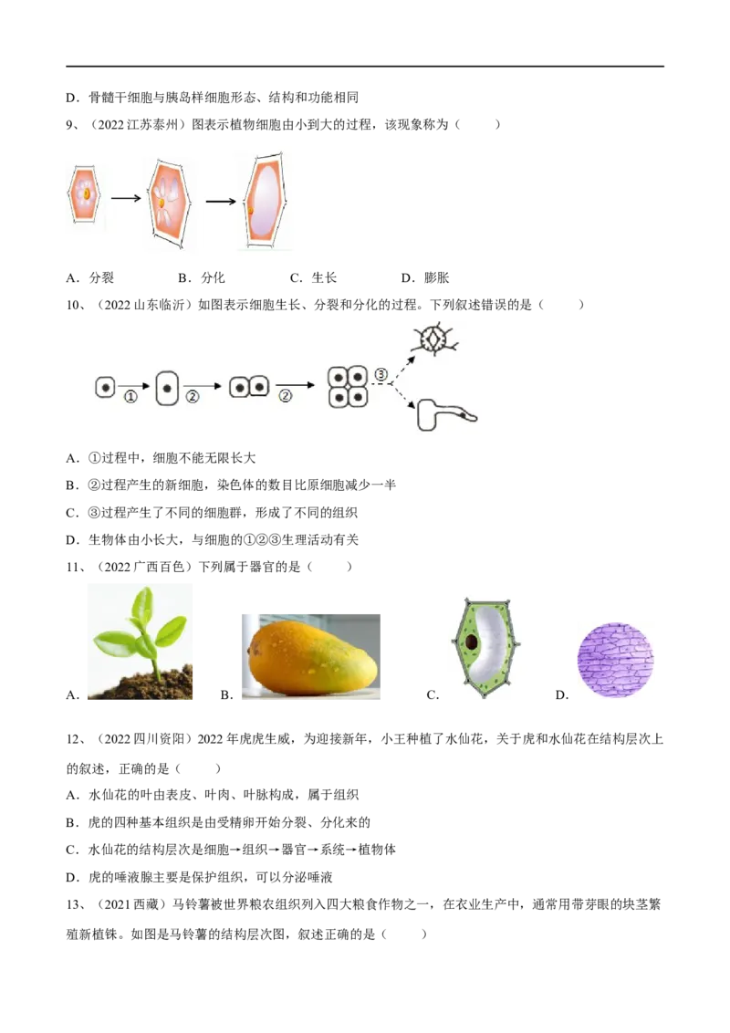 专题03细胞怎样构成生物体（原卷版）_6生物中考复习_2023年中考复习资料_一轮复习_2023年中考生物一轮复习讲练测_专题03细胞怎样构成生物体（专题精练）-2023年中考生物一轮复习讲练测