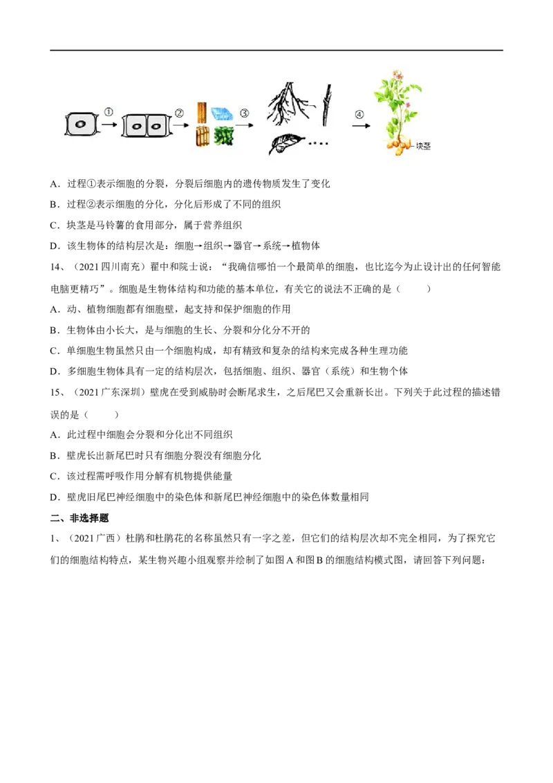 专题03细胞怎样构成生物体（原卷版）_6生物中考复习_2023年中考复习资料_一轮复习_2023年中考生物一轮复习讲练测_专题03细胞怎样构成生物体（专题精练）-2023年中考生物一轮复习讲练测
