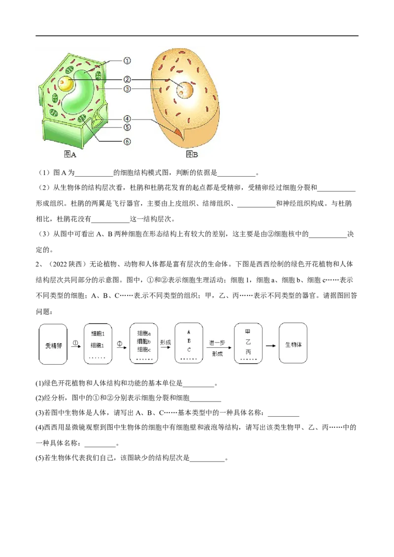 专题03细胞怎样构成生物体（原卷版）_6生物中考复习_2023年中考复习资料_一轮复习_2023年中考生物一轮复习讲练测_专题03细胞怎样构成生物体（专题精练）-2023年中考生物一轮复习讲练测
