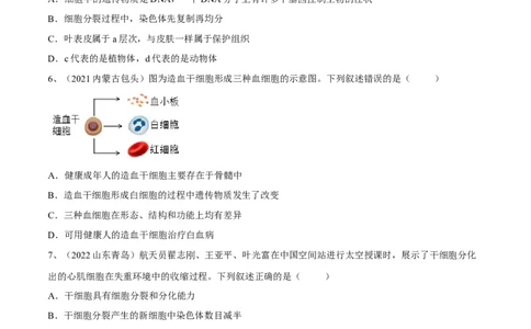 专题03细胞怎样构成生物体（原卷版）_6生物中考复习_2023年中考复习资料_一轮复习_2023年中考生物一轮复习讲练测_专题03细胞怎样构成生物体（专题精练）-2023年中考生物一轮复习讲练测