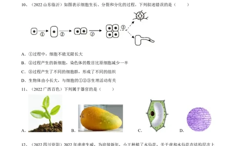 专题03细胞怎样构成生物体（原卷版）_6生物中考复习_2023年中考复习资料_一轮复习_2023年中考生物一轮复习讲练测_专题03细胞怎样构成生物体（专题精练）-2023年中考生物一轮复习讲练测
