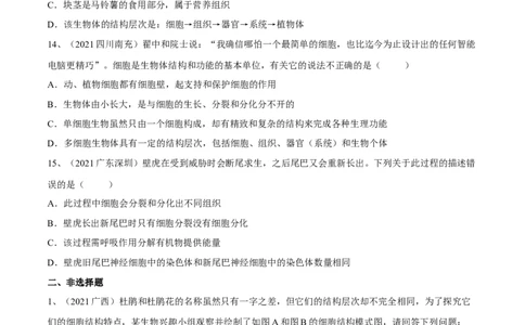 专题03细胞怎样构成生物体（原卷版）_6生物中考复习_2023年中考复习资料_一轮复习_2023年中考生物一轮复习讲练测_专题03细胞怎样构成生物体（专题精练）-2023年中考生物一轮复习讲练测