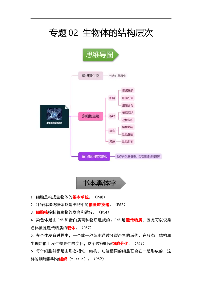 专题02生物体的结构层次-备战2023年中考生物核心考点梳理与必背_6生物中考复习_2023年中考复习资料_专项复习_备战2023年中考生物核心考点梳理与必背