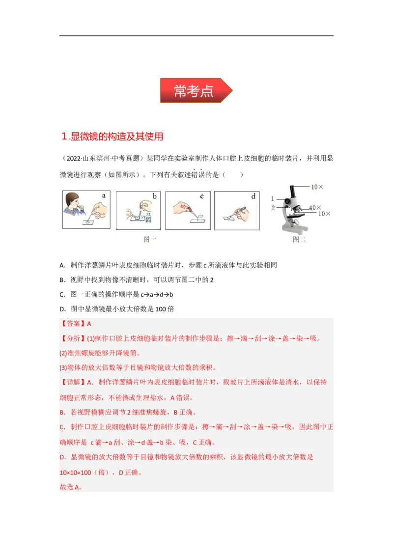 专题02生物体的结构层次-备战2023年中考生物核心考点梳理与必背_6生物中考复习_2023年中考复习资料_专项复习_备战2023年中考生物核心考点梳理与必背