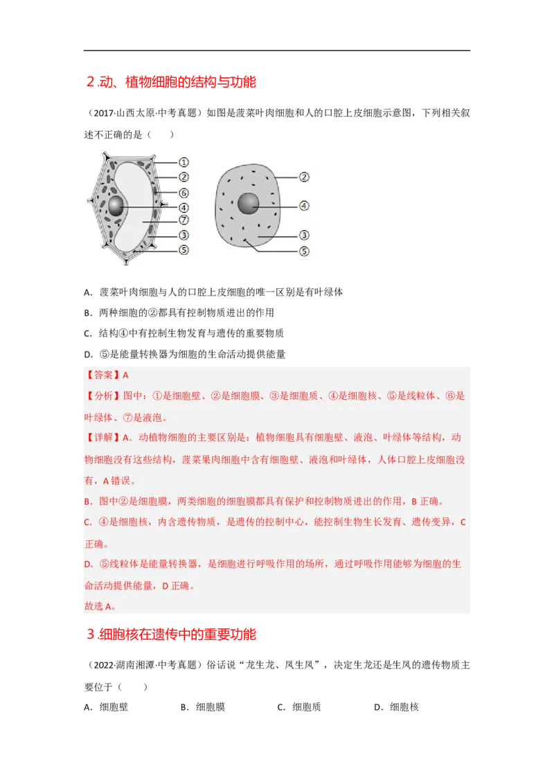 专题02生物体的结构层次-备战2023年中考生物核心考点梳理与必背_6生物中考复习_2023年中考复习资料_专项复习_备战2023年中考生物核心考点梳理与必背