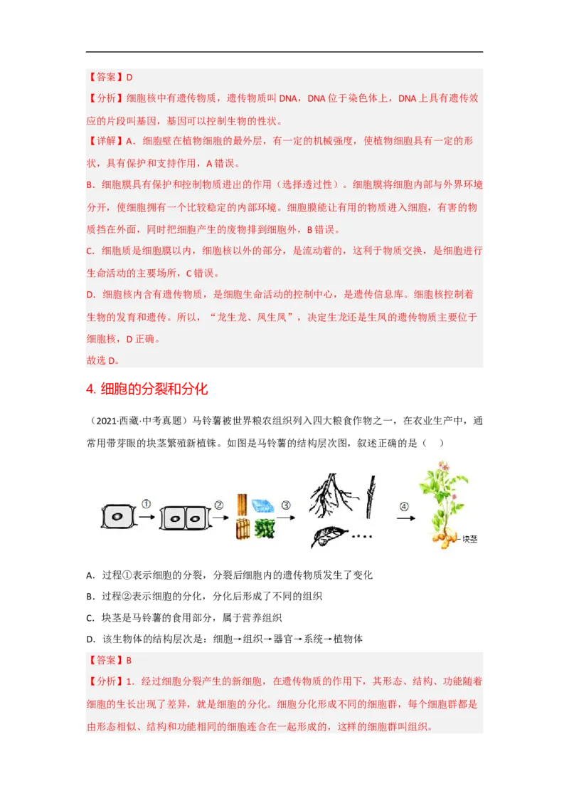 专题02生物体的结构层次-备战2023年中考生物核心考点梳理与必背_6生物中考复习_2023年中考复习资料_专项复习_备战2023年中考生物核心考点梳理与必背
