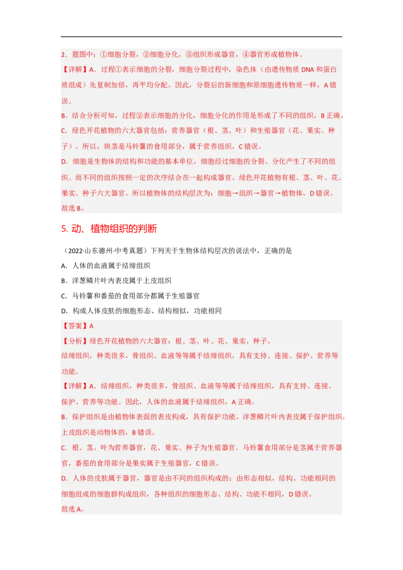 专题02生物体的结构层次-备战2023年中考生物核心考点梳理与必背_6生物中考复习_2023年中考复习资料_专项复习_备战2023年中考生物核心考点梳理与必背