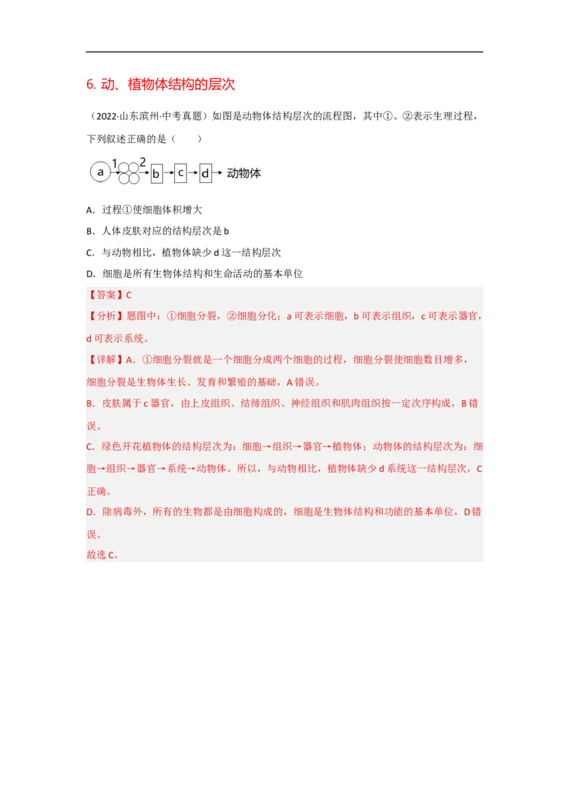 专题02生物体的结构层次-备战2023年中考生物核心考点梳理与必背_6生物中考复习_2023年中考复习资料_专项复习_备战2023年中考生物核心考点梳理与必背