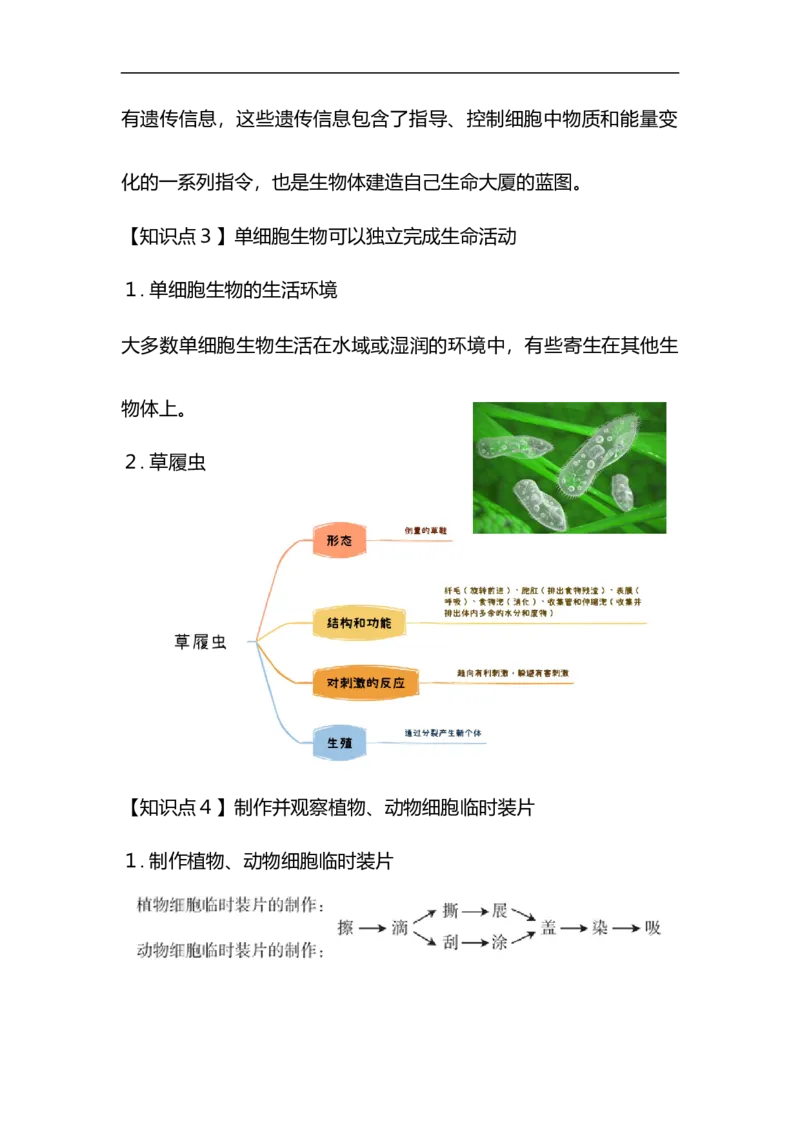 专题02生物体的结构层次-备战2023年中考生物核心考点梳理与必背_6生物中考复习_2023年中考复习资料_专项复习_备战2023年中考生物核心考点梳理与必背