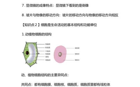 专题02生物体的结构层次-备战2023年中考生物核心考点梳理与必背_6生物中考复习_2023年中考复习资料_专项复习_备战2023年中考生物核心考点梳理与必背