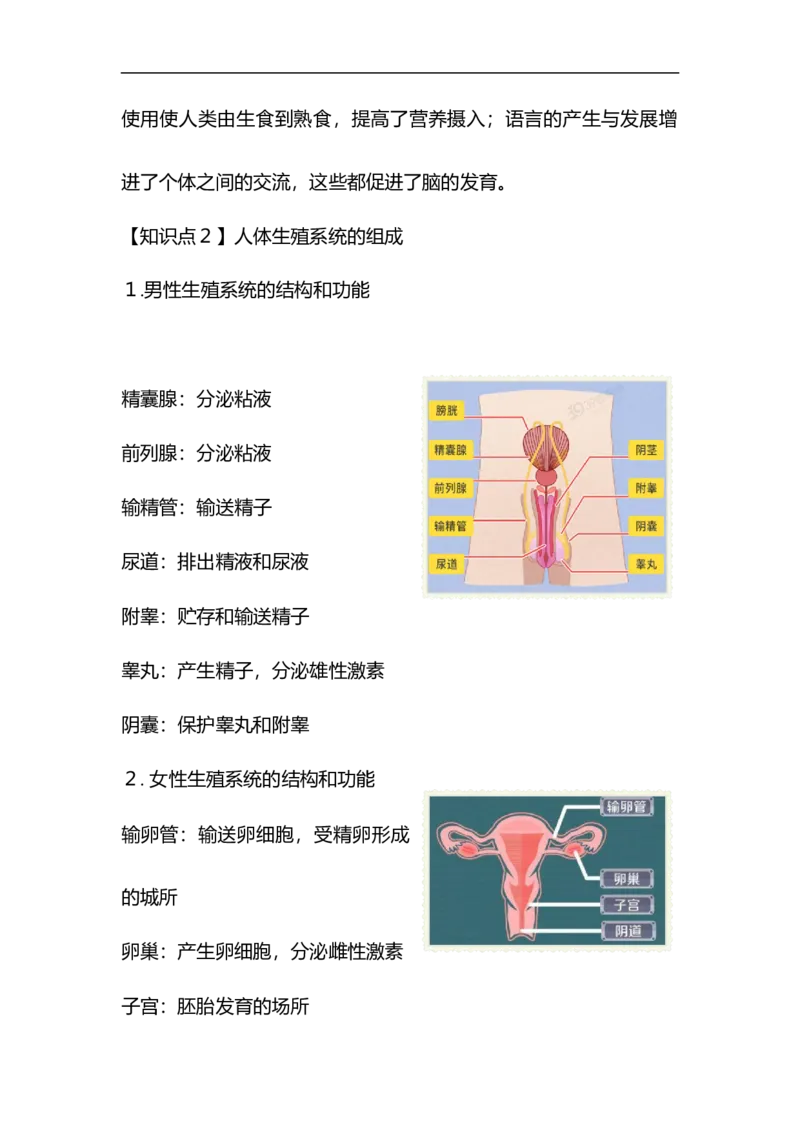 专题06人的生殖和发育-备战2023年中考生物核心考点梳理与必背_6生物中考复习_2023年中考复习资料_专项复习_备战2023年中考生物核心考点梳理与必背