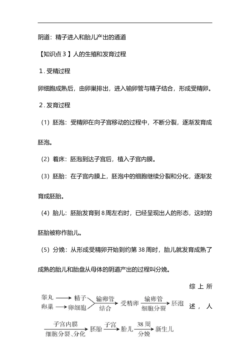专题06人的生殖和发育-备战2023年中考生物核心考点梳理与必背_6生物中考复习_2023年中考复习资料_专项复习_备战2023年中考生物核心考点梳理与必背