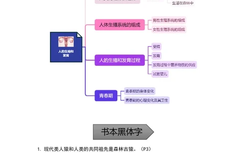 专题06人的生殖和发育-备战2023年中考生物核心考点梳理与必背_6生物中考复习_2023年中考复习资料_专项复习_备战2023年中考生物核心考点梳理与必背