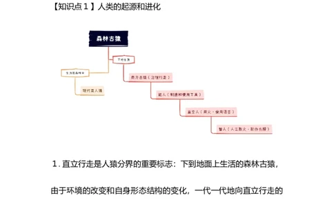 专题06人的生殖和发育-备战2023年中考生物核心考点梳理与必背_6生物中考复习_2023年中考复习资料_专项复习_备战2023年中考生物核心考点梳理与必背