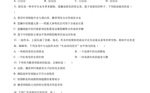 精品解析：四川省眉山市仁寿县第一中学校南校区2025-2026学年高一上学期9月月考生物试题（原卷版）_2025年10月高一试卷