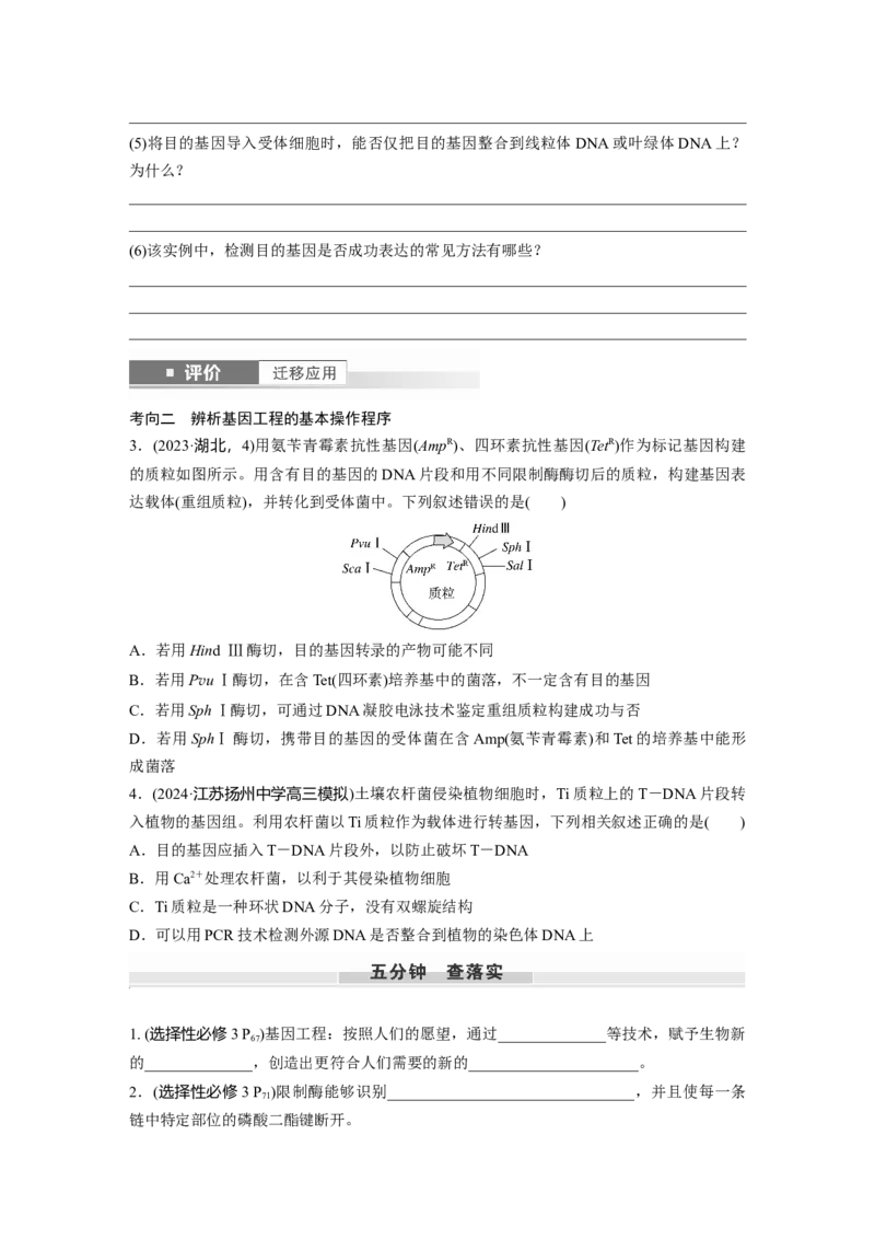 第十单元　第61课时　基因工程的基本工具和基本操作程序_2025年新高考资料_一轮复习_2025大一轮复习讲义+课件（完结）_2025大一轮复习讲义生物学生用书Word版文档整书