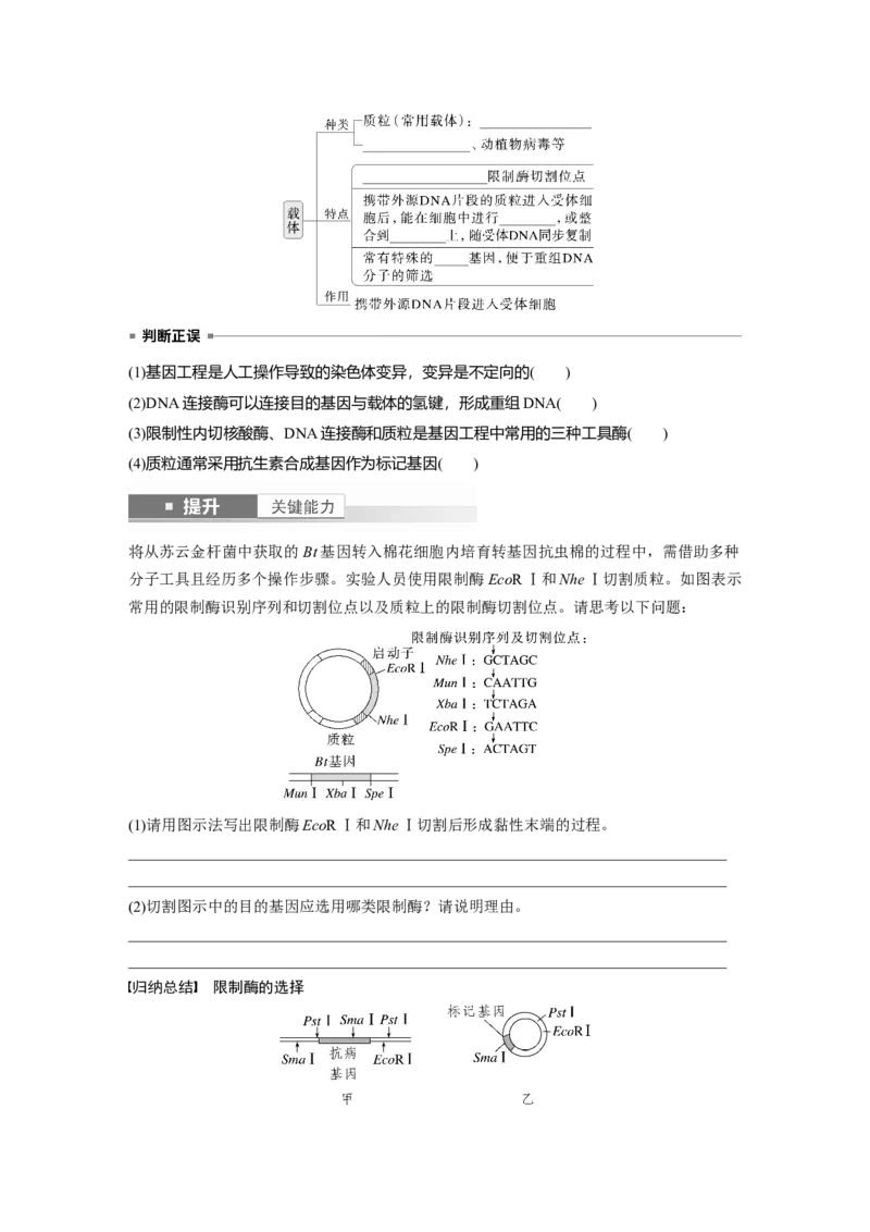 第十单元　第61课时　基因工程的基本工具和基本操作程序_2025年新高考资料_一轮复习_2025大一轮复习讲义+课件（完结）_2025大一轮复习讲义生物学生用书Word版文档整书