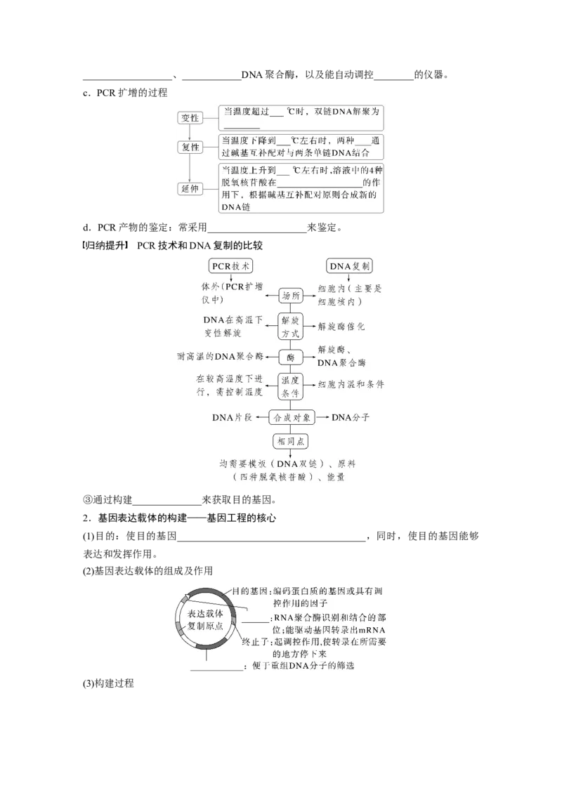 第十单元　第61课时　基因工程的基本工具和基本操作程序_2025年新高考资料_一轮复习_2025大一轮复习讲义+课件（完结）_2025大一轮复习讲义生物学生用书Word版文档整书