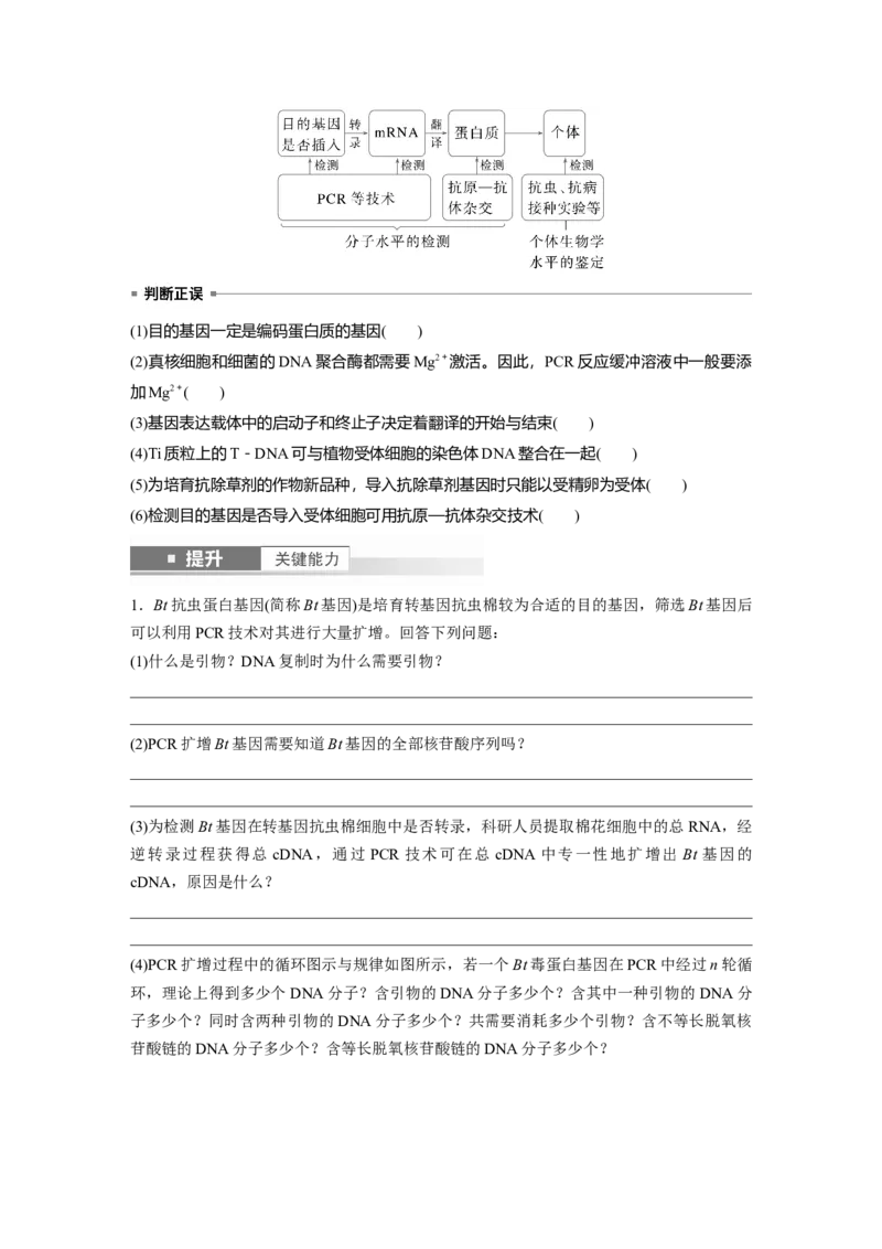 第十单元　第61课时　基因工程的基本工具和基本操作程序_2025年新高考资料_一轮复习_2025大一轮复习讲义+课件（完结）_2025大一轮复习讲义生物学生用书Word版文档整书