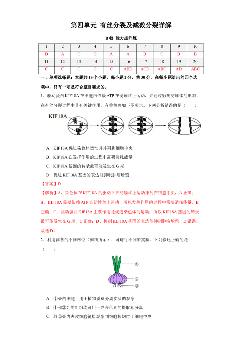 第四单元有丝分裂及减数分裂详解（B卷能力提升练）-2022年高考生物一轮复习单元滚动双测卷（解析版）_新高考复习资料_2023年新高考复习资料_一轮复习