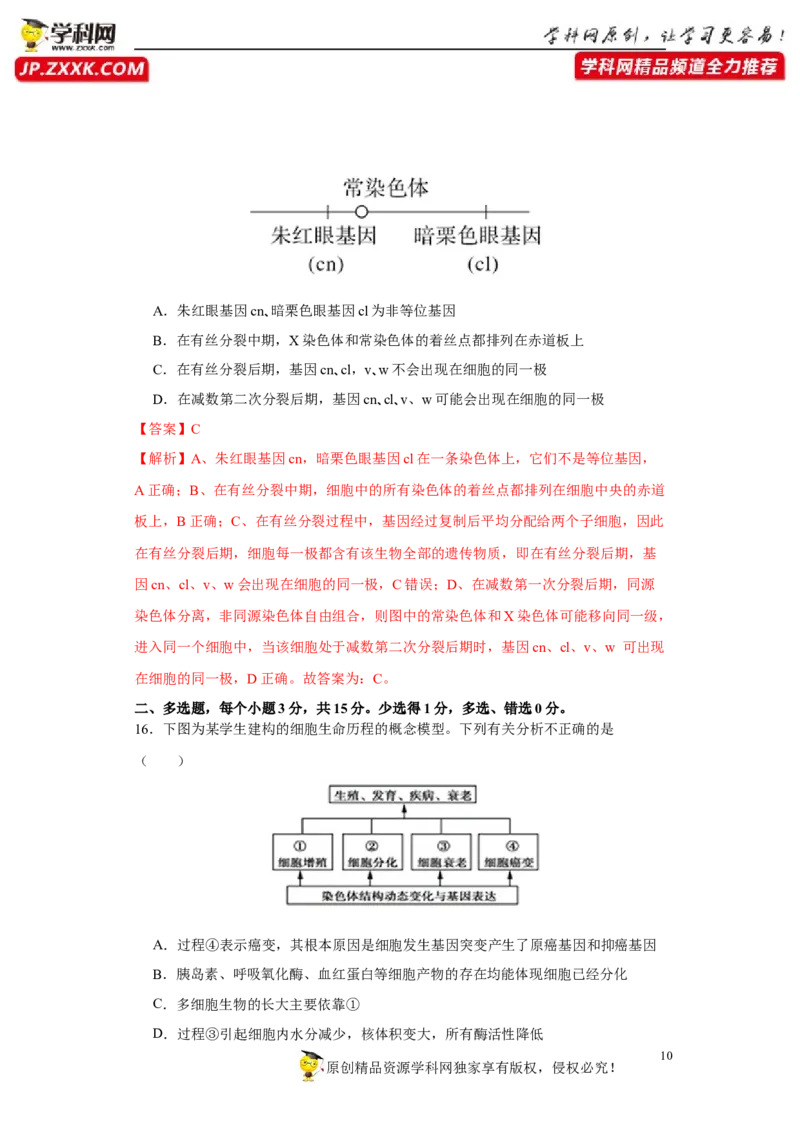 第四单元有丝分裂及减数分裂详解（B卷能力提升练）-2022年高考生物一轮复习单元滚动双测卷（解析版）_新高考复习资料_2023年新高考复习资料_一轮复习