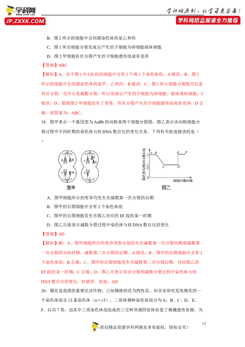 第四单元有丝分裂及减数分裂详解（B卷能力提升练）-2022年高考生物一轮复习单元滚动双测卷（解析版）_新高考复习资料_2023年新高考复习资料_一轮复习