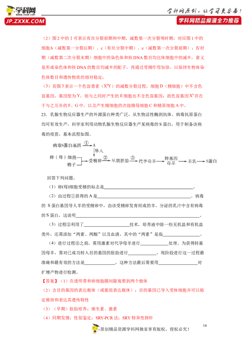 第四单元有丝分裂及减数分裂详解（B卷能力提升练）-2022年高考生物一轮复习单元滚动双测卷（解析版）_新高考复习资料_2023年新高考复习资料_一轮复习