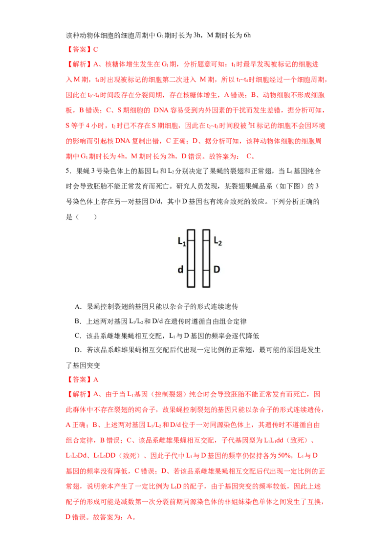 第四单元有丝分裂及减数分裂详解（B卷能力提升练）-2022年高考生物一轮复习单元滚动双测卷（解析版）_新高考复习资料_2023年新高考复习资料_一轮复习