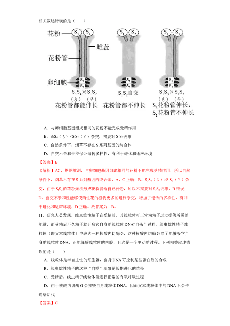 第四单元有丝分裂及减数分裂详解（B卷能力提升练）-2022年高考生物一轮复习单元滚动双测卷（解析版）_新高考复习资料_2023年新高考复习资料_一轮复习