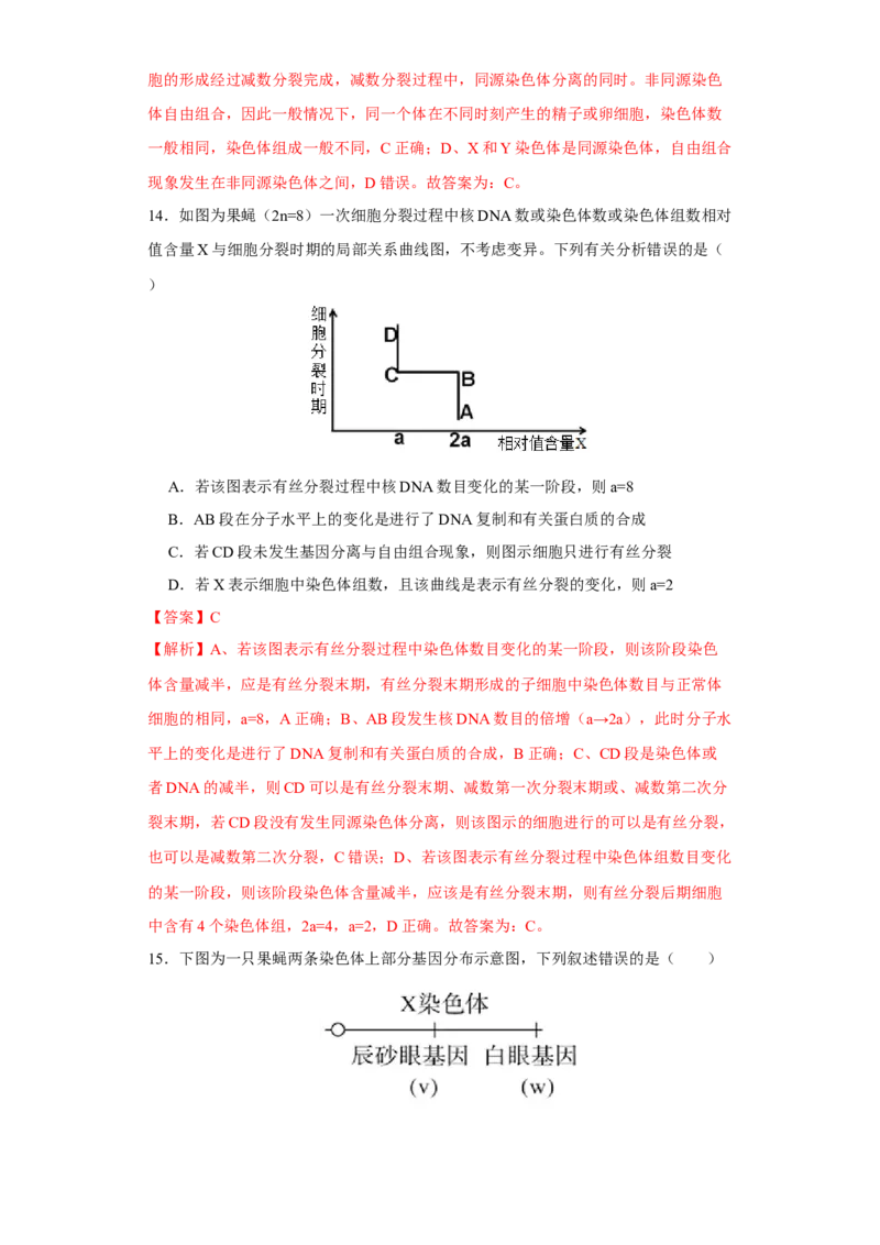 第四单元有丝分裂及减数分裂详解（B卷能力提升练）-2022年高考生物一轮复习单元滚动双测卷（解析版）_新高考复习资料_2023年新高考复习资料_一轮复习