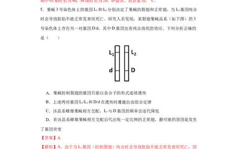 第四单元有丝分裂及减数分裂详解（B卷能力提升练）-2022年高考生物一轮复习单元滚动双测卷（解析版）_新高考复习资料_2023年新高考复习资料_一轮复习
