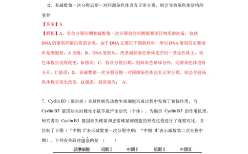 第四单元有丝分裂及减数分裂详解（B卷能力提升练）-2022年高考生物一轮复习单元滚动双测卷（解析版）_新高考复习资料_2023年新高考复习资料_一轮复习