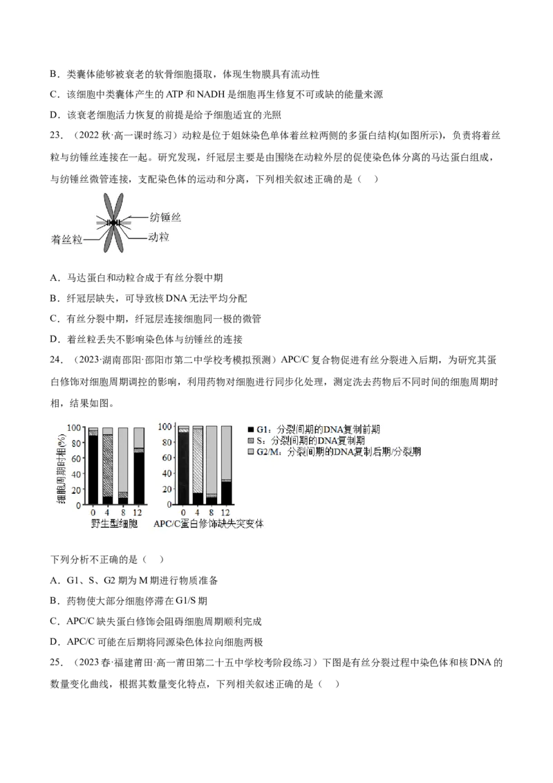 第四单元细胞的生命历程（测试）（原卷版）_新高考复习资料_2024年新高考复习资料_一轮复习资料_完2024年高考生物一轮复习讲练测(课件+讲义+练习)（新高考）_单元测试