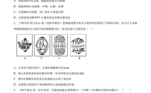 第四单元细胞的生命历程（测试）（原卷版）_新高考复习资料_2024年新高考复习资料_一轮复习资料_完2024年高考生物一轮复习讲练测(课件+讲义+练习)（新高考）_单元测试