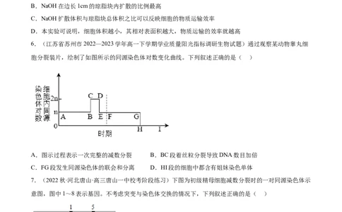 第四单元细胞的生命历程（测试）（原卷版）_新高考复习资料_2024年新高考复习资料_一轮复习资料_完2024年高考生物一轮复习讲练测(课件+讲义+练习)（新高考）_单元测试