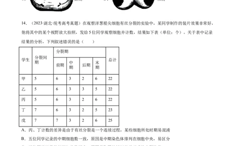 第四单元细胞的生命历程（测试）（原卷版）_新高考复习资料_2024年新高考复习资料_一轮复习资料_完2024年高考生物一轮复习讲练测(课件+讲义+练习)（新高考）_单元测试