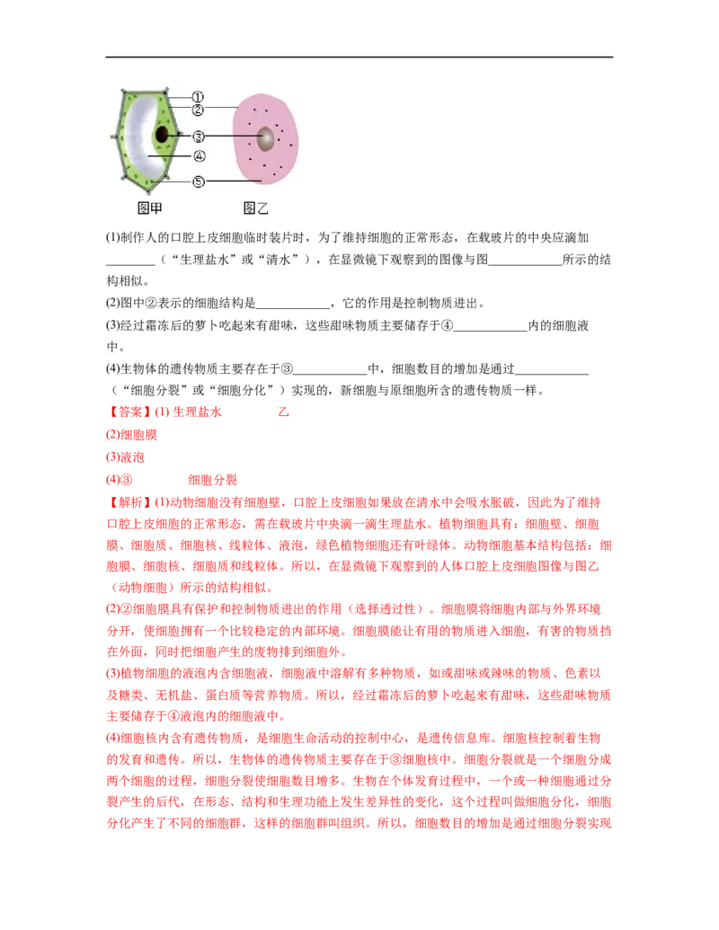 专题02生物体的结构层次背诵清单+跟踪训练（教师版）_6生物中考复习_2023年中考复习资料_一轮复习_2023年中考生物一轮大单元复习过过过（全国通用）