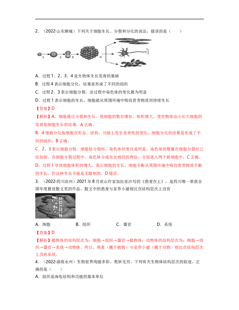 专题02生物体的结构层次背诵清单+跟踪训练（教师版）_6生物中考复习_2023年中考复习资料_一轮复习_2023年中考生物一轮大单元复习过过过（全国通用）